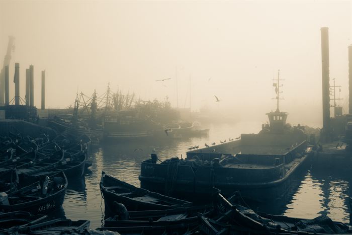 Wooden fishing boats and circling gulls in a harbour filled with morning fog