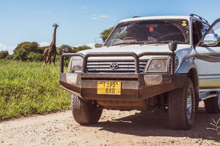 A giraffe standing beside the track behind a dusty safari Land Cruiser, Tanzania